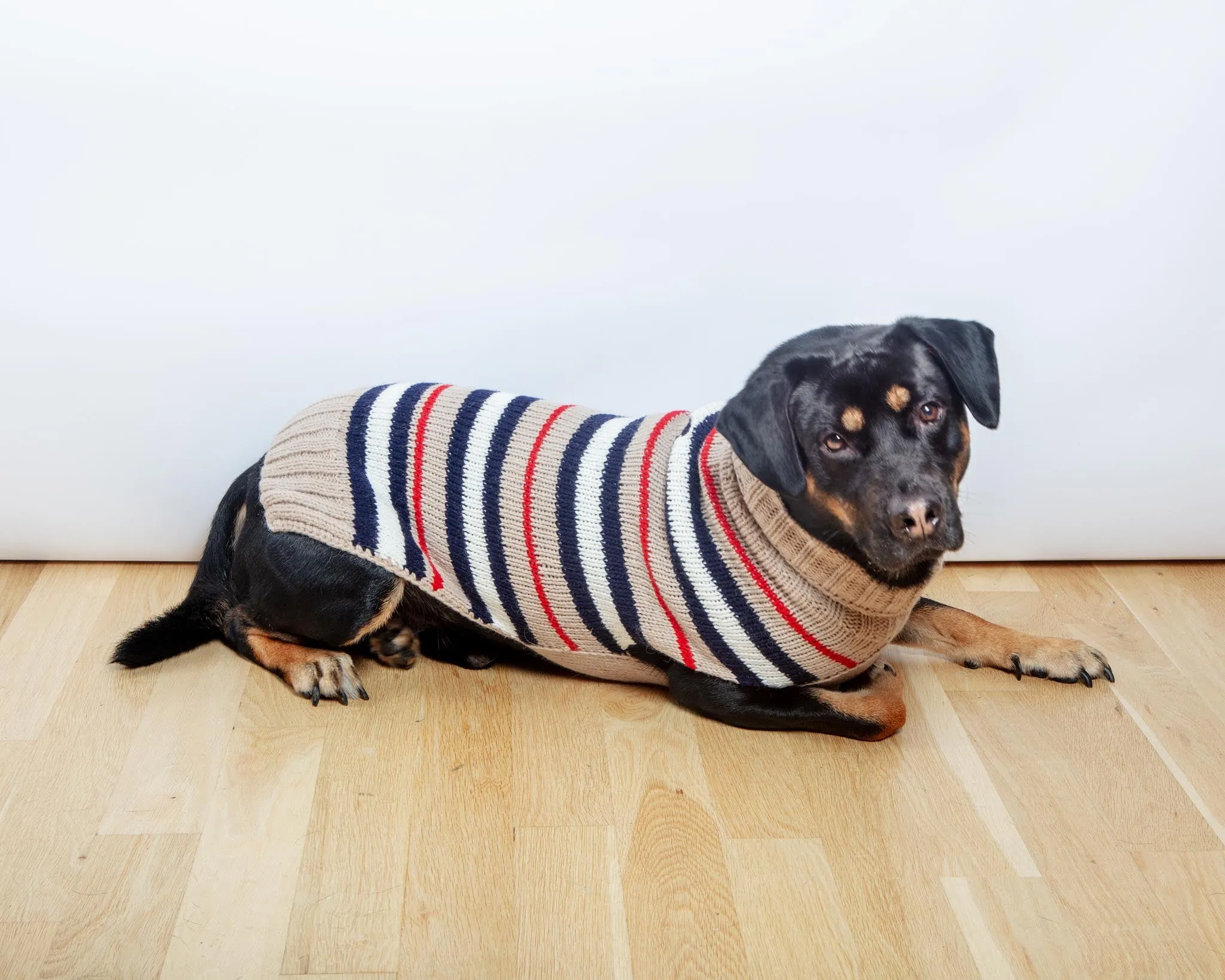 Bentley Alpaca Stripe Wool Dog Sweater (FINAL SALE)