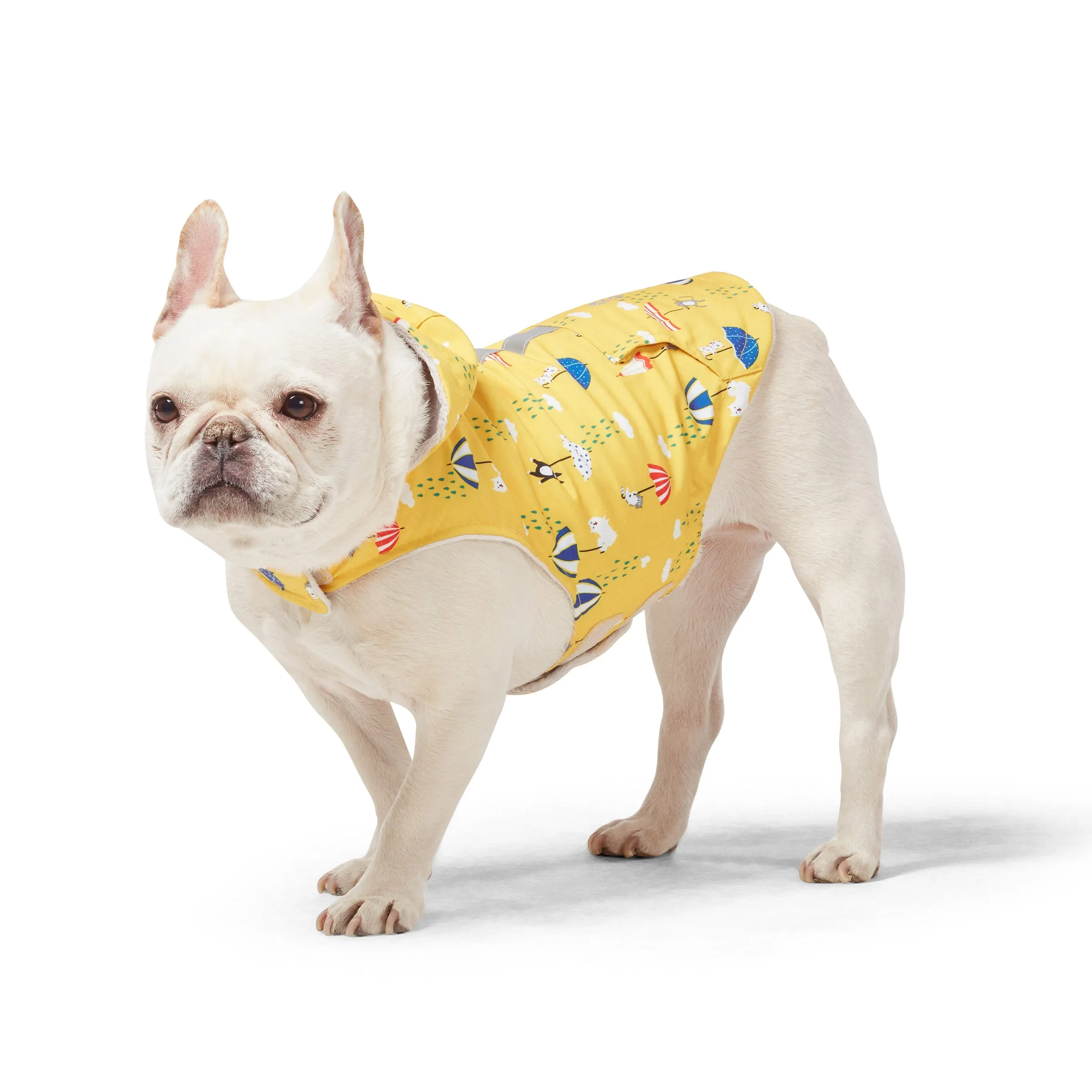 Dog Raincoat